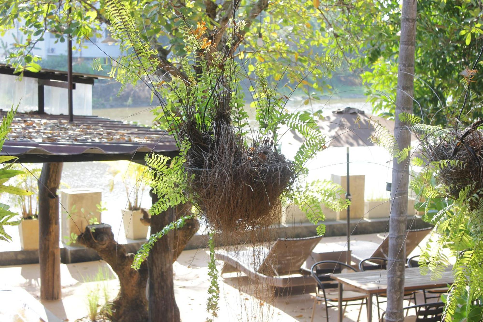 Tolani Riverside Villa Chiang Mai Luaran gambar
